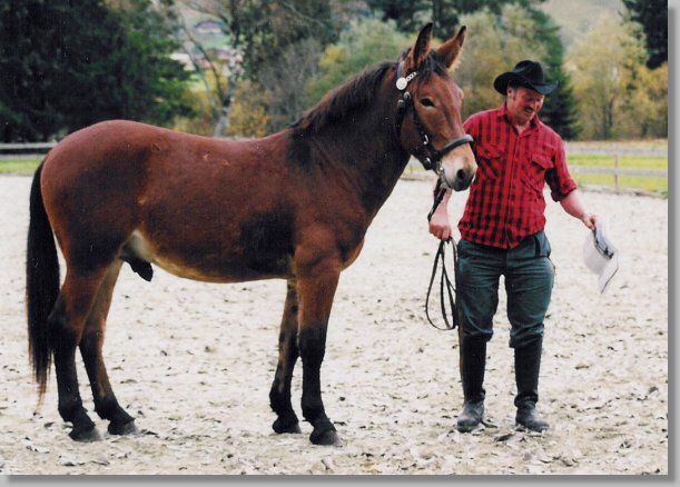 Donado und Hans Beglinger